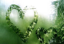 星空体育官网入口-拉齐奥战胜热那亚，稳健的比赛策略，拉齐奥 热那亚