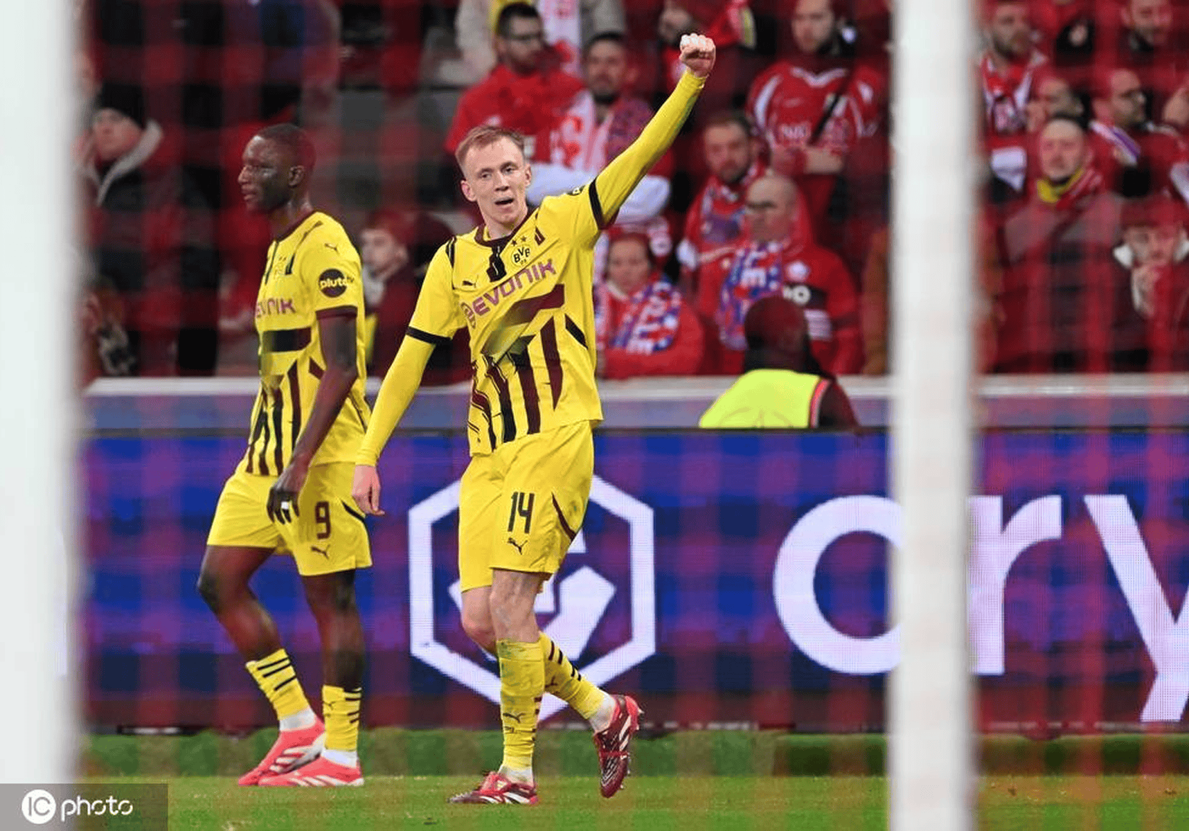 里尔主场取胜，积分稳步上升的简单介绍